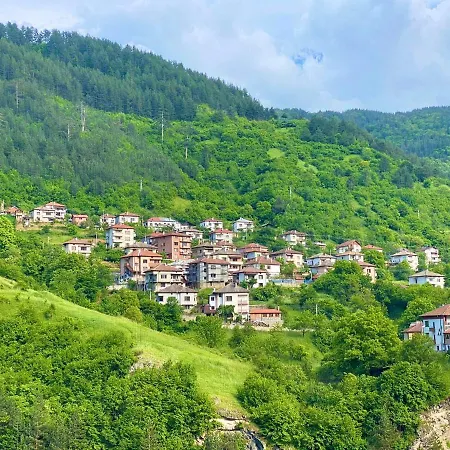 воденицата ゲストハウス *